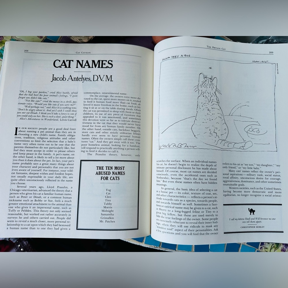 Cat Lovers Lot ~ Art Book with Decorative Items Candle Holder Sign Soap Dish - Picture 10 of 16